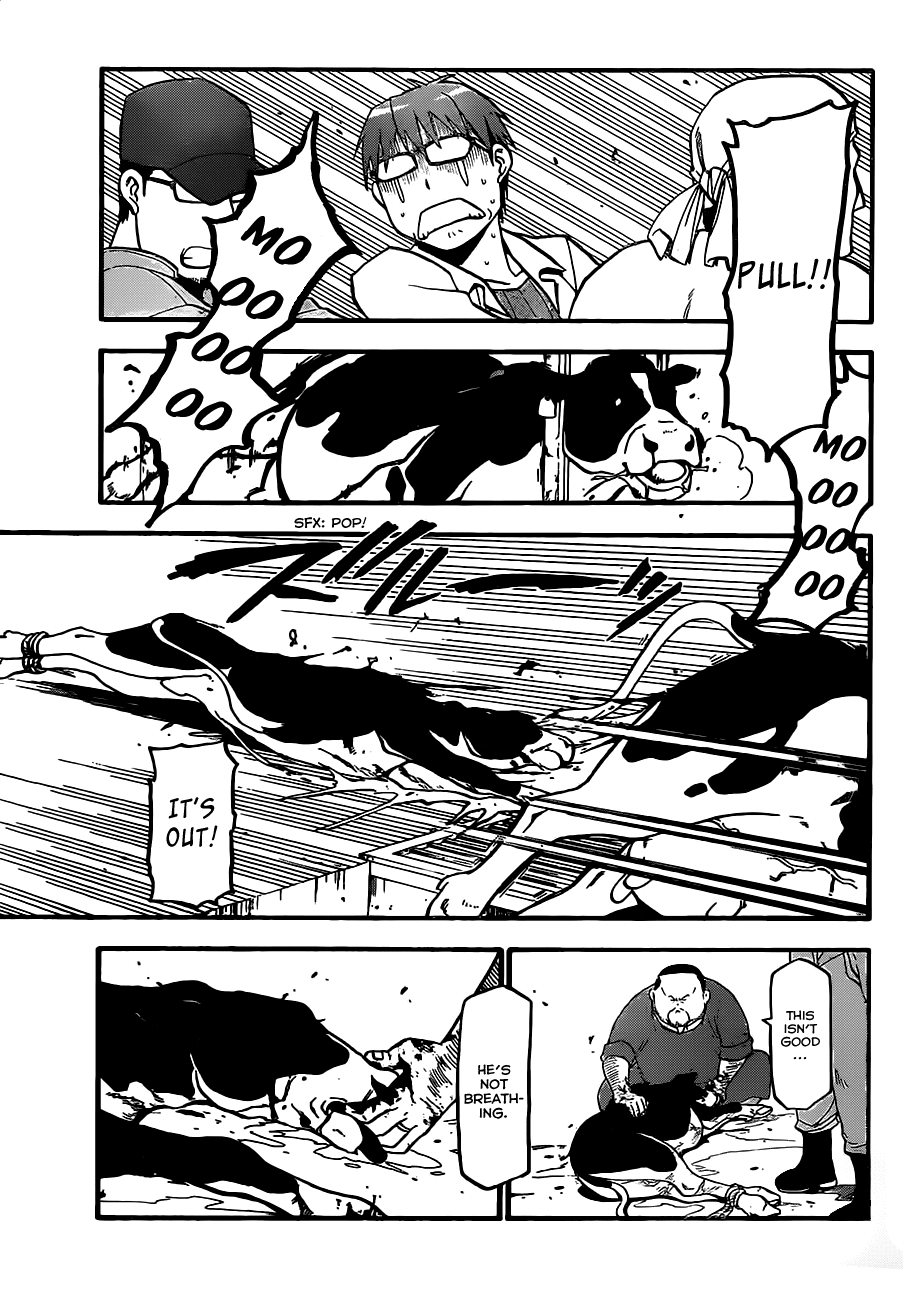 Gin no Saji Chapter 17 page 17 - Chapter 17: Summertime (7)