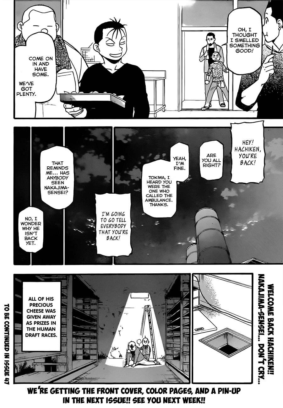 Gin no Saji Chapter 56 page 19 - Chapter 56: Autumn (25)