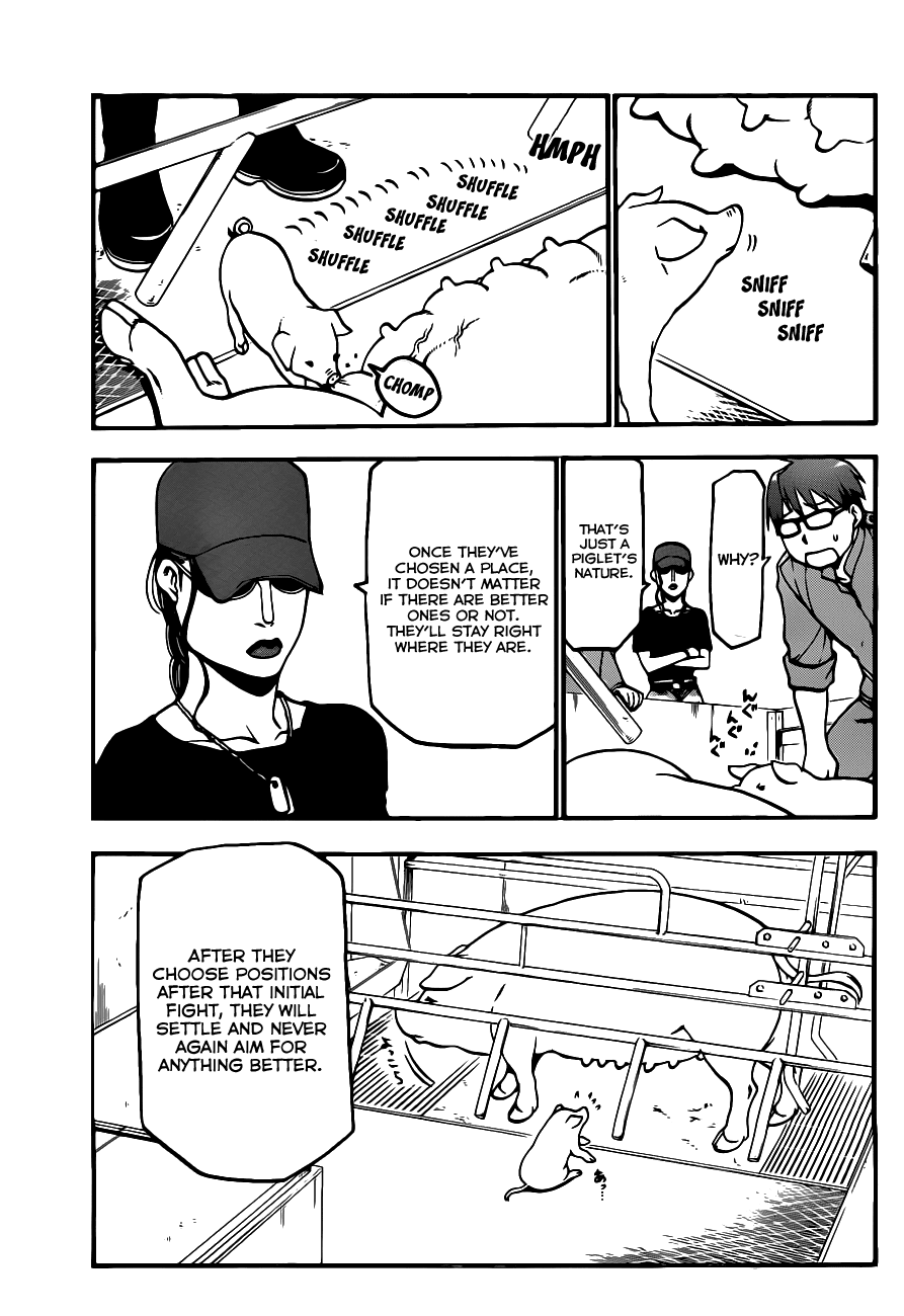 Gin no Saji Chapter 7 page 14 - Chapter 7: Springtime (7)