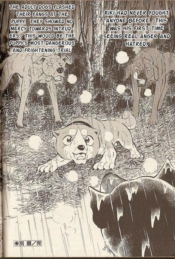 Ginga Densetsu Riki Chapter 2 page 17 - Chapter 2 : Goodbye