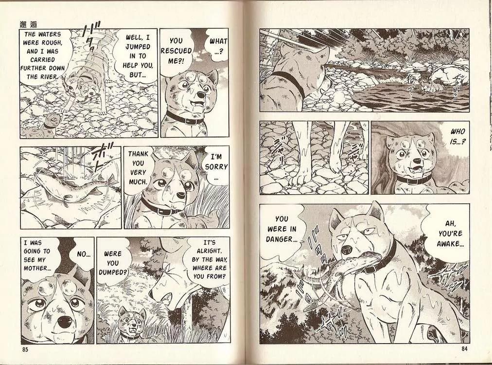 Ginga Densetsu Riki Chapter 3 page 7 - Chapter 3 : Encounter