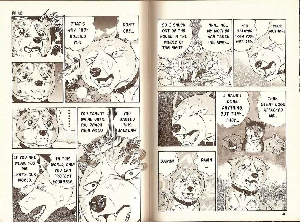 Ginga Densetsu Riki Chapter 3 page 8 - Chapter 3 : Encounter