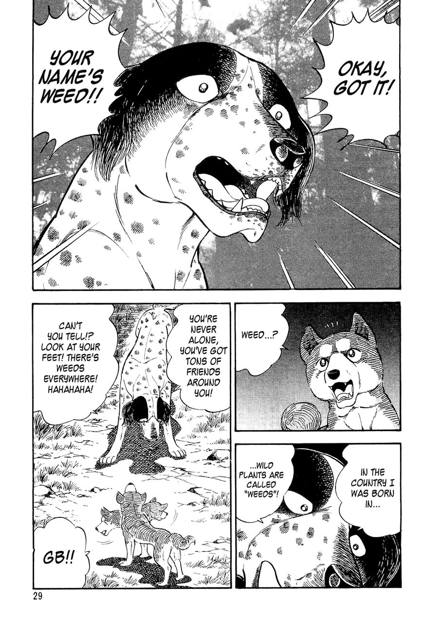 Ginga Densetsu Weed Chapter 0 page 26 - Chapter 0 : Setting Off