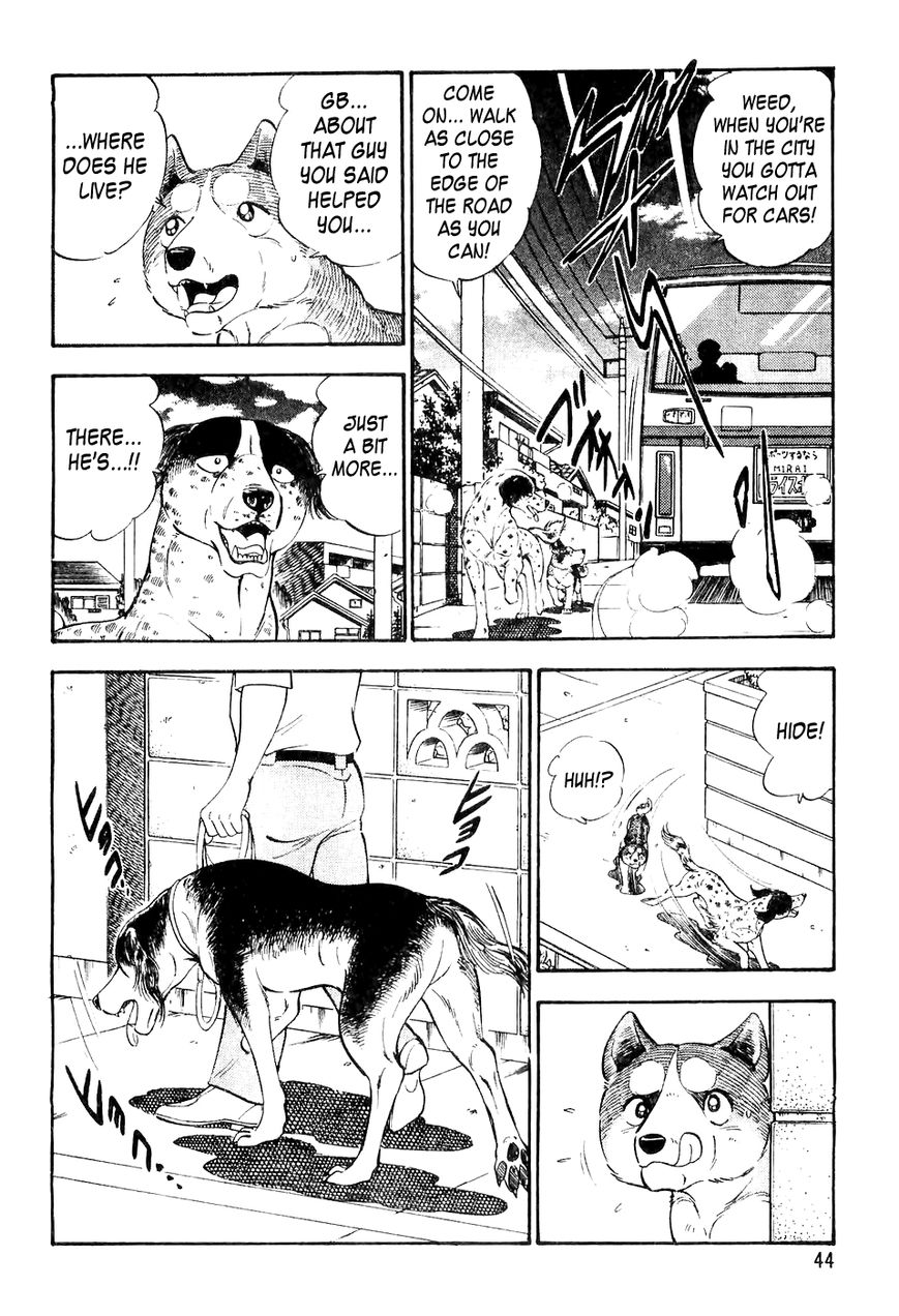 Ginga Densetsu Weed Chapter 1 page 15 - Chapter 1 : An Order from Nero
