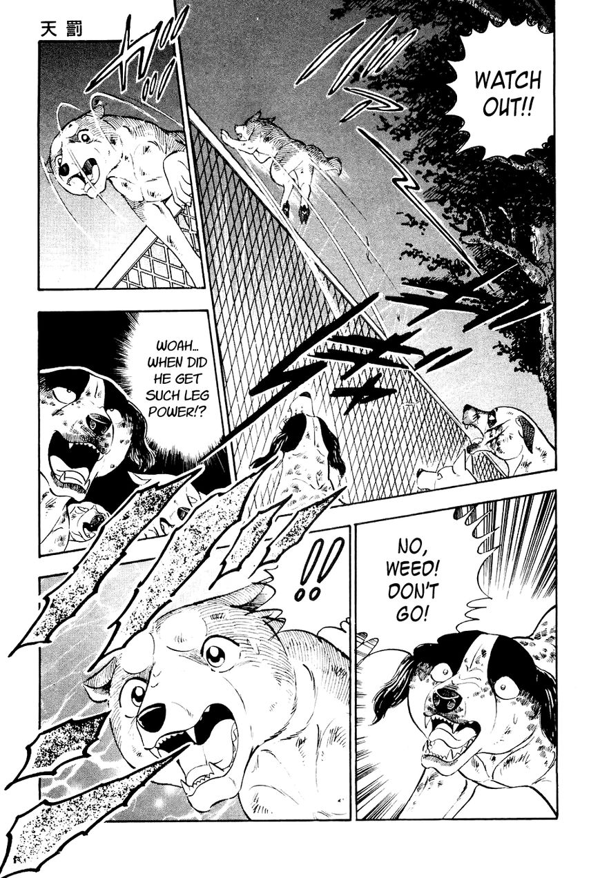 Ginga Densetsu Weed Chapter 11 page 18 - Chapter 11 : Divine Punishment
