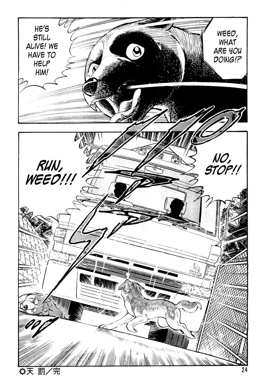Ginga Densetsu Weed Chapter 11 page 21 - Chapter 11 : Divine Punishment