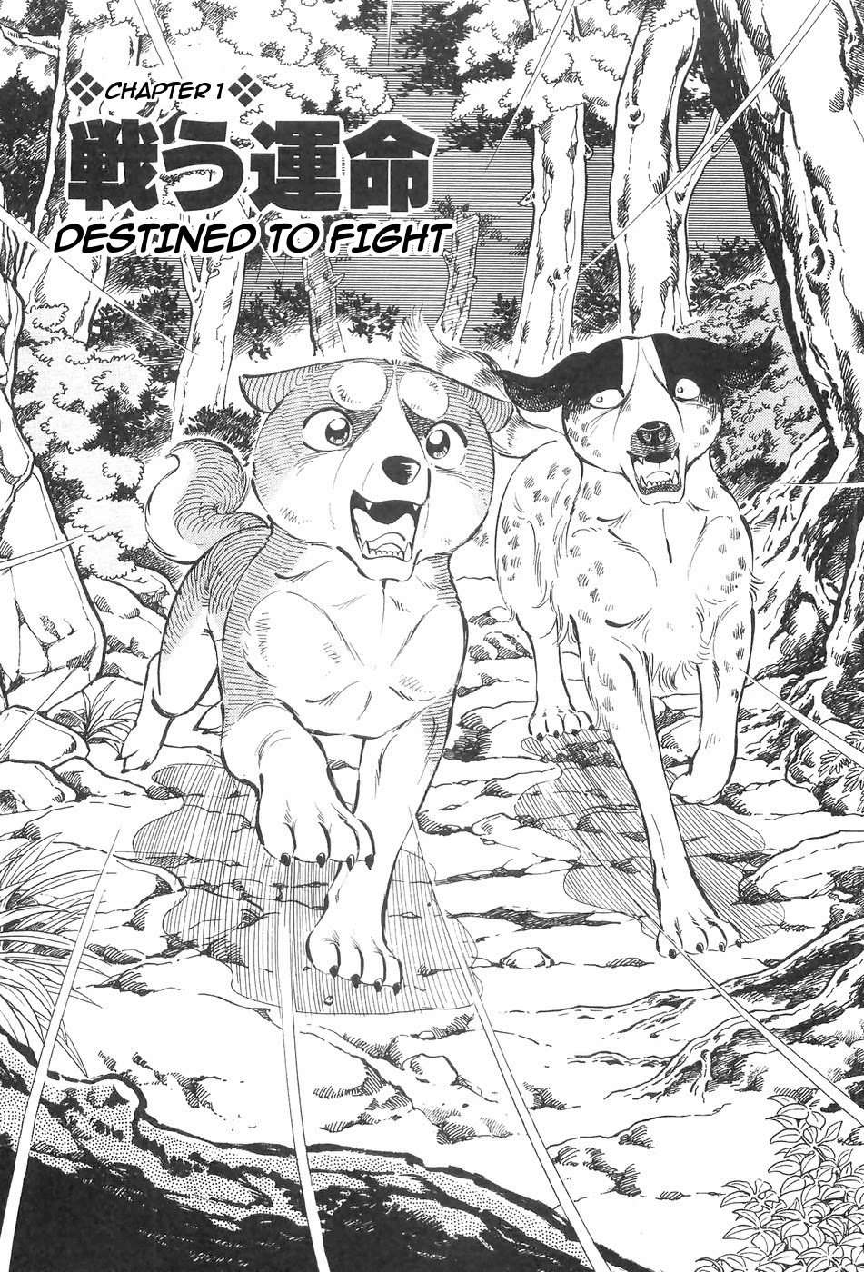 Ginga Densetsu Weed Chapter 112 page 7 - Chapter 112: Destined to Fight