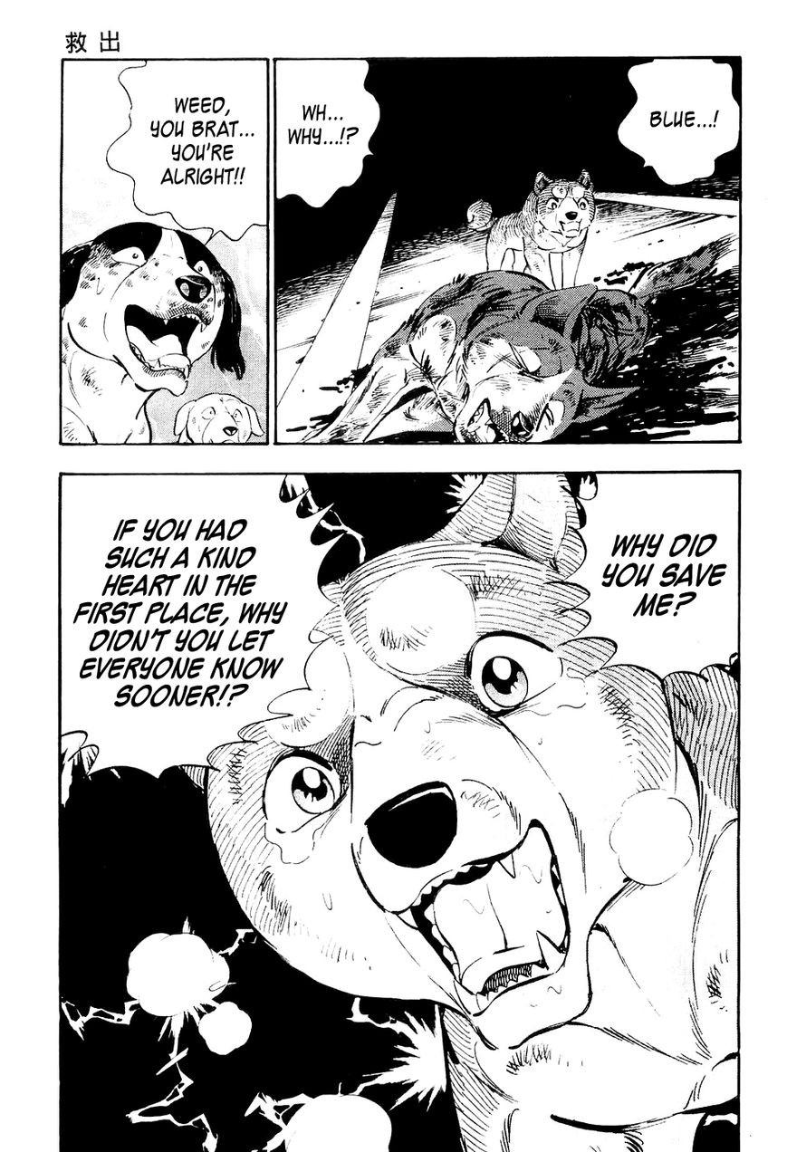 Ginga Densetsu Weed Chapter 12 page 10 - Chapter 12 : Rescue