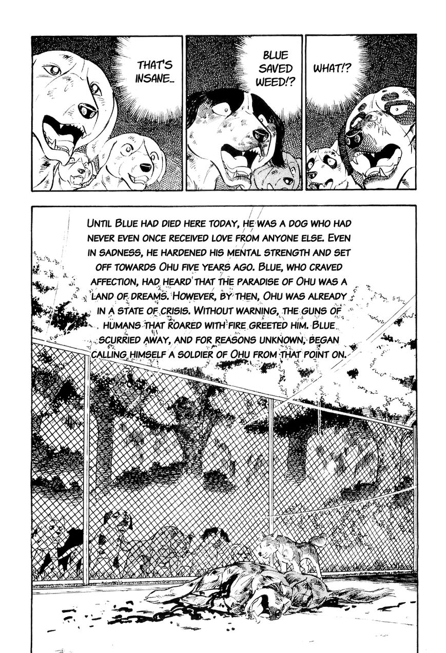 Ginga Densetsu Weed Chapter 12 page 11 - Chapter 12 : Rescue
