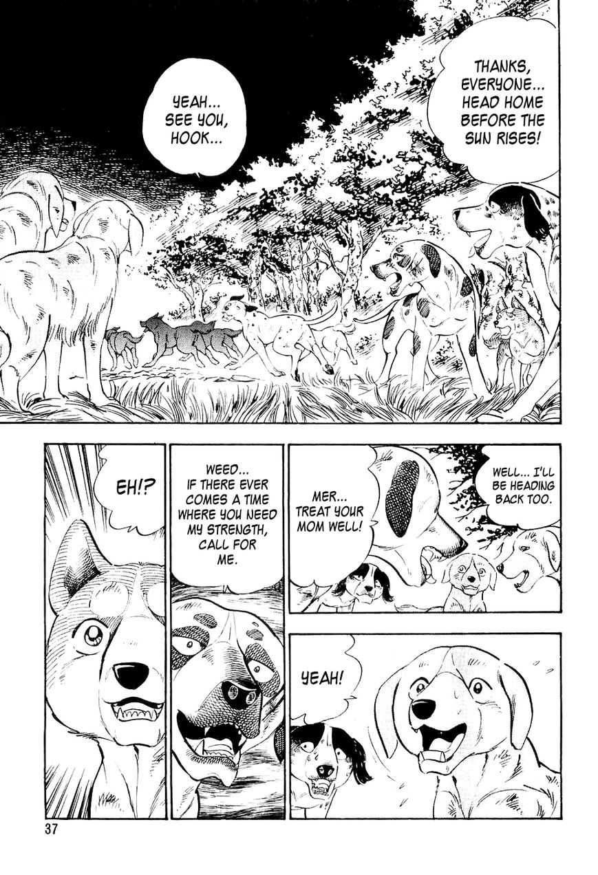 Ginga Densetsu Weed Chapter 12 page 14 - Chapter 12 : Rescue