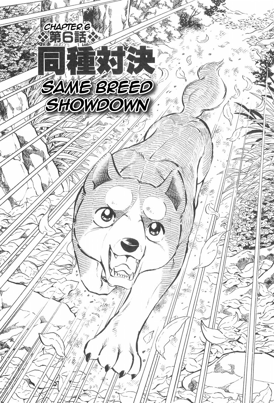 Ginga Densetsu Weed Chapter 126 page 1 - Chapter 126: Same Breed Showdown