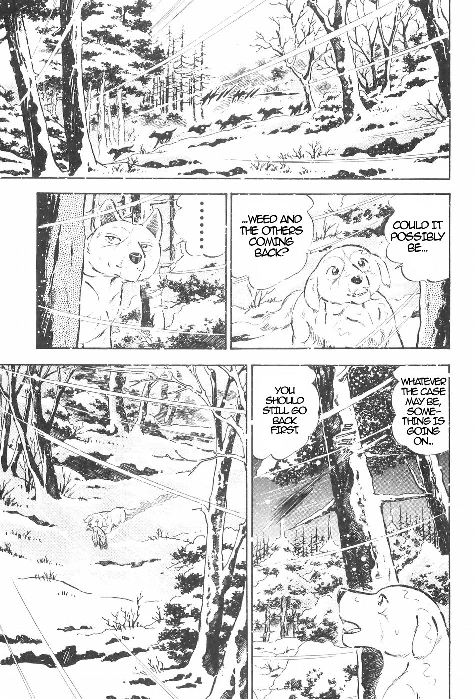 Ginga Densetsu Weed Chapter 127 page 5 - Chapter 127: Returning Alive