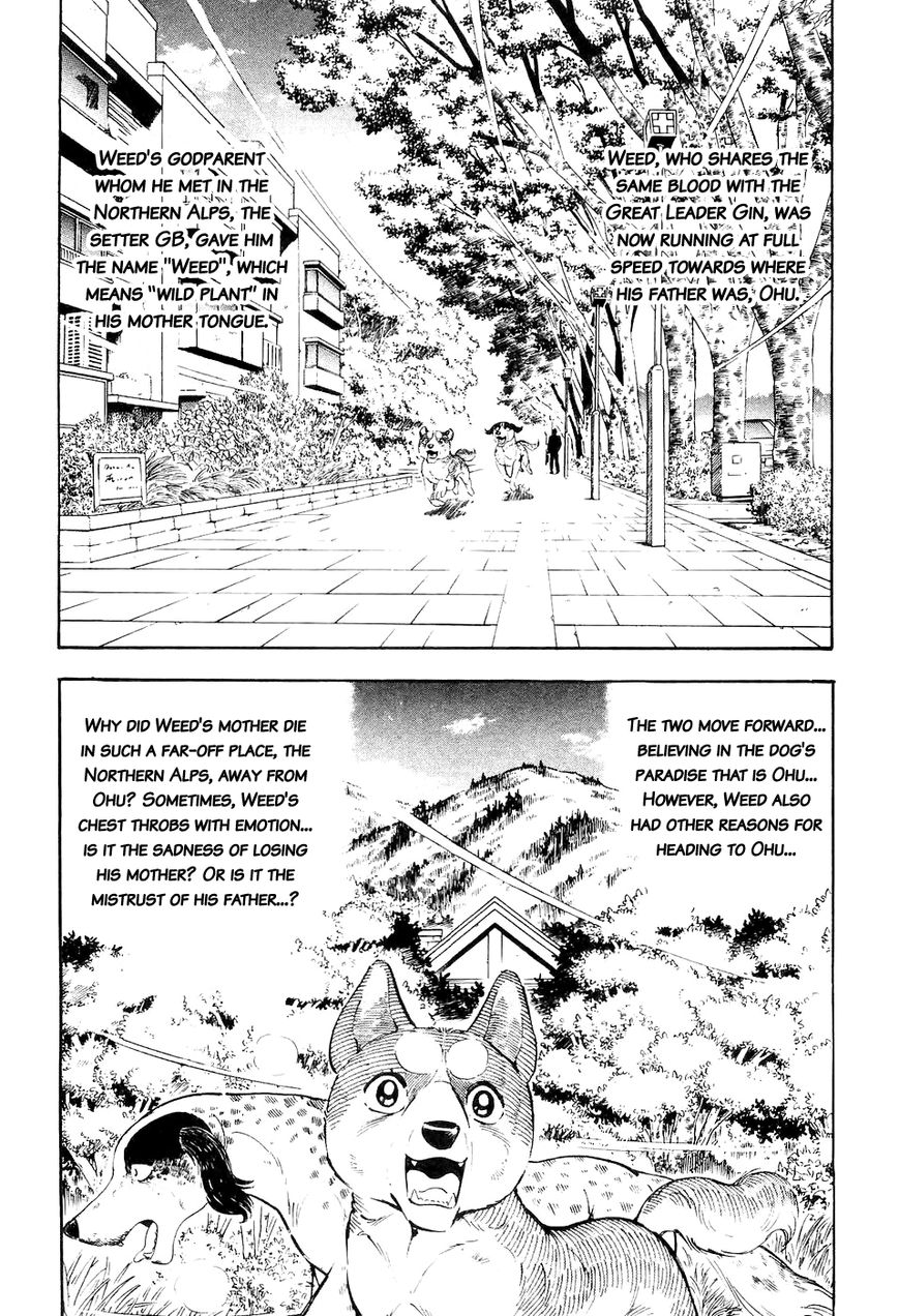 Ginga Densetsu Weed Chapter 13 page 2 - Chapter 13 : Ohu's Baptism