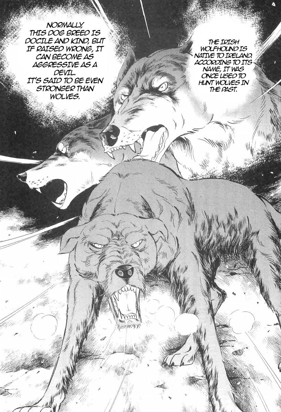 Ginga Densetsu Weed Chapter 132 page 20 - Chapter 132: Seething Blood