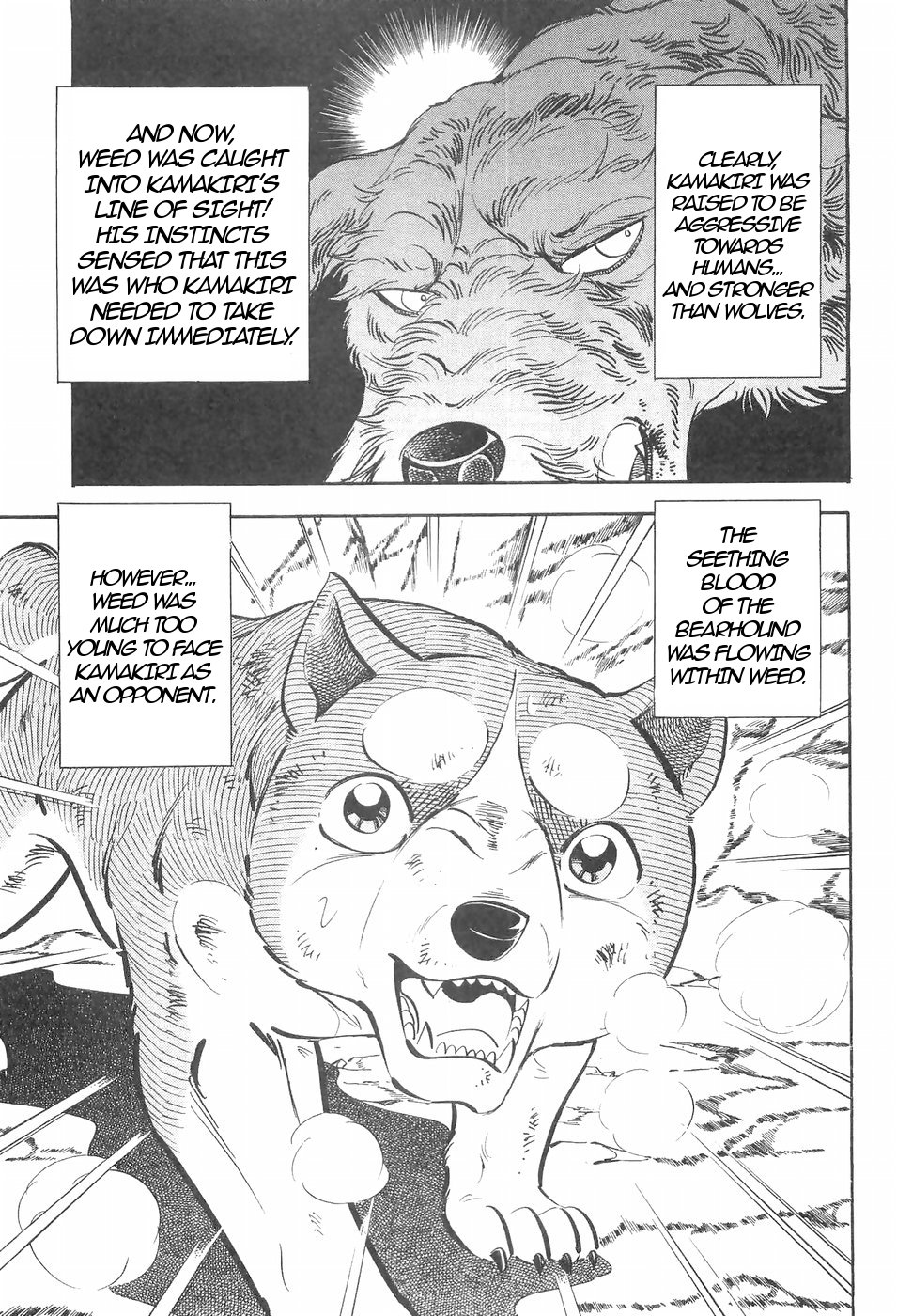 Ginga Densetsu Weed Chapter 132 page 21 - Chapter 132: Seething Blood