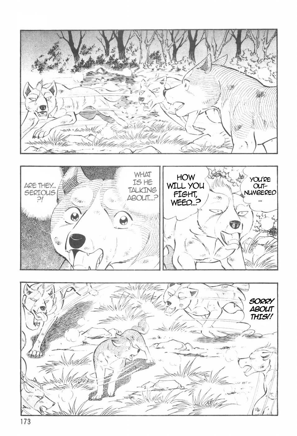 Ginga Densetsu Weed Chapter 137 page 15 - Chapter 137: Special Training
