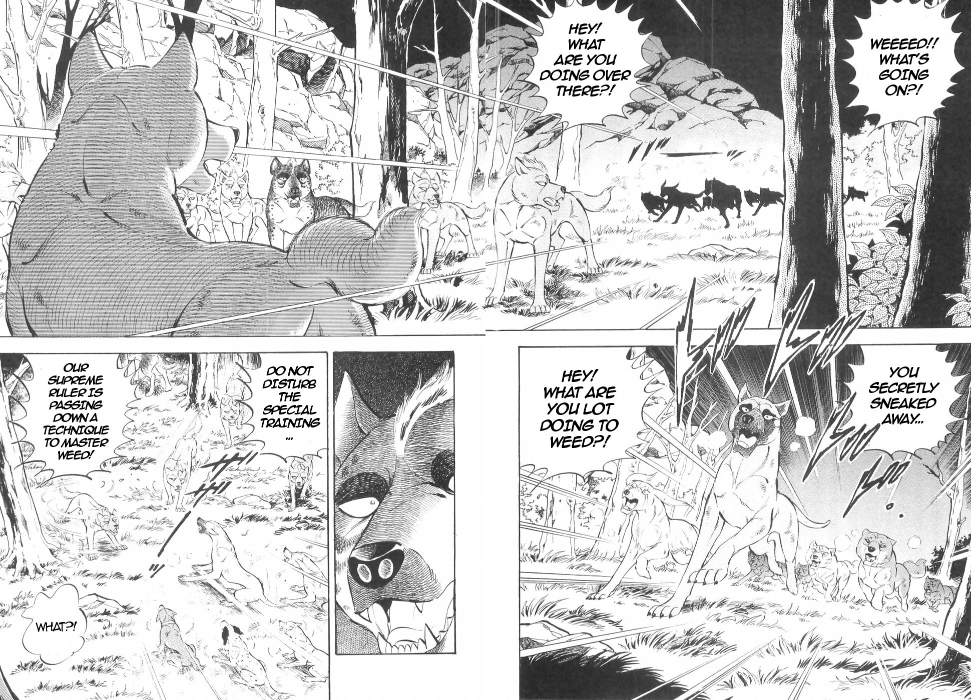 Ginga Densetsu Weed Chapter 139 page 12 - Chapter 139: Initiation