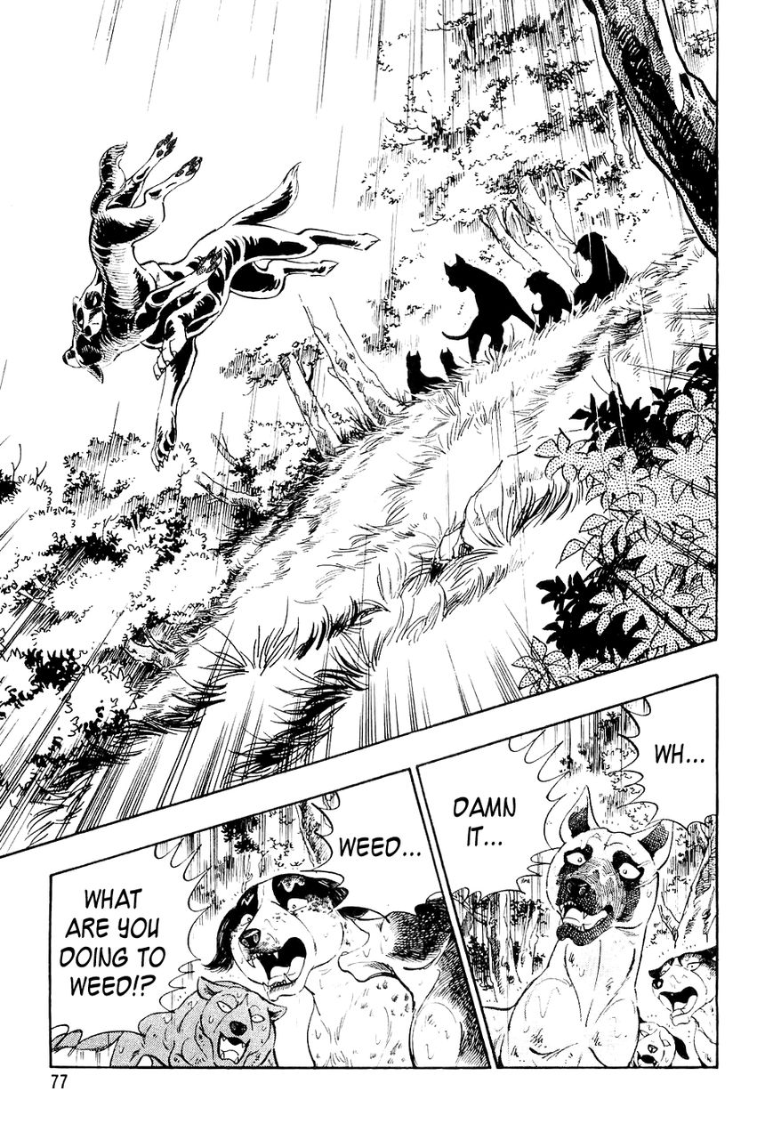 Ginga Densetsu Weed Chapter 14 page 14 - Chapter 14 : Ken and Kagetora