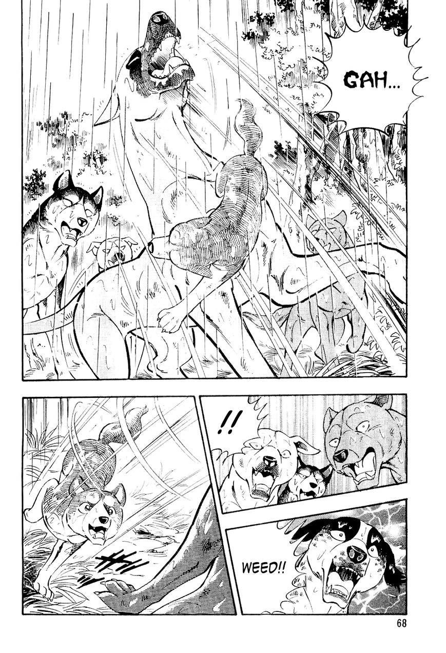 Ginga Densetsu Weed Chapter 14 page 5 - Chapter 14 : Ken and Kagetora