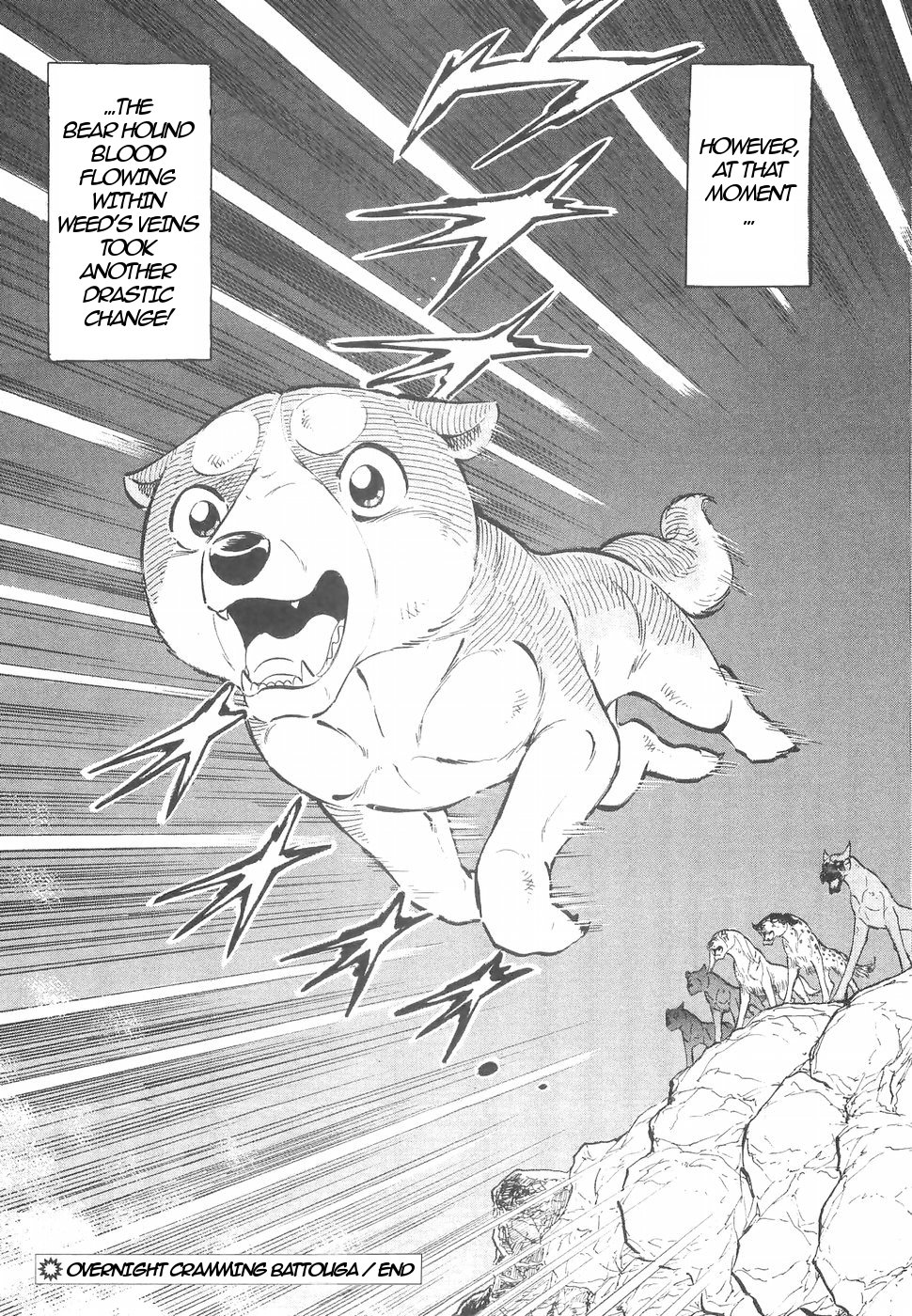 Ginga Densetsu Weed Chapter 141 page 19 - Chapter 141: Overnight Crammed Battouga