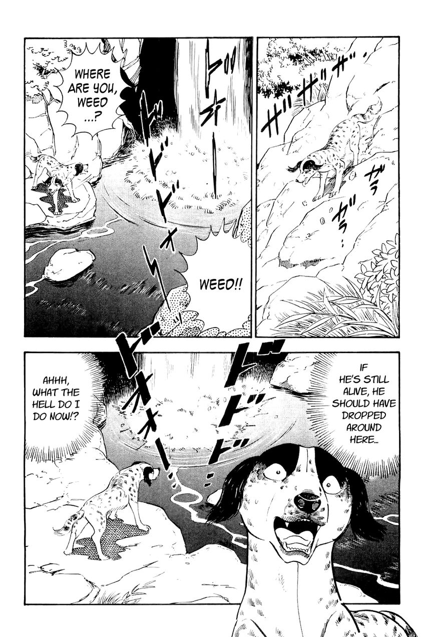 Ginga Densetsu Weed Chapter 15 page 15 - Chapter 15 : Friend or Foe!?