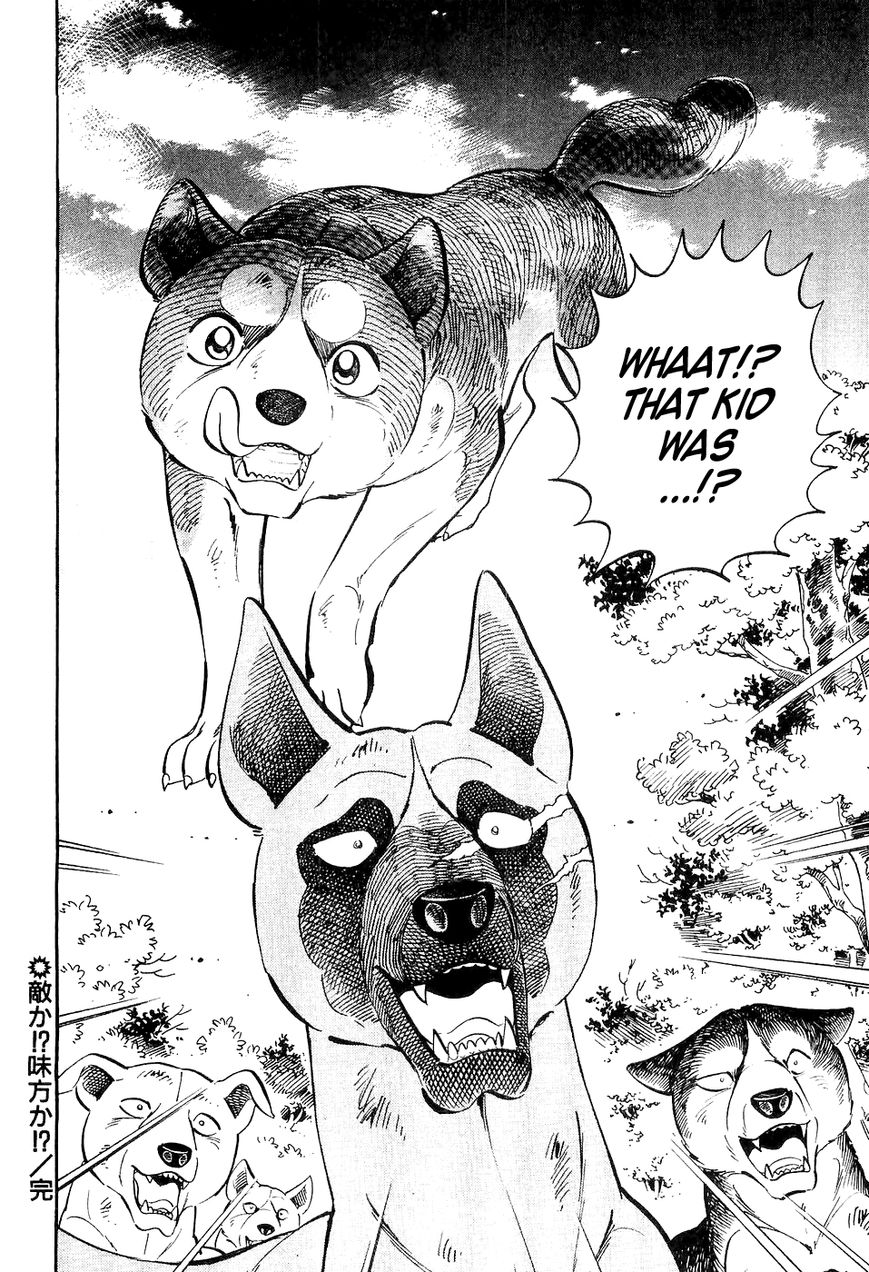 Ginga Densetsu Weed Chapter 15 page 21 - Chapter 15 : Friend or Foe!?