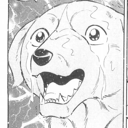 Ginga Densetsu Weed Chapter 159: A Painful Report cover