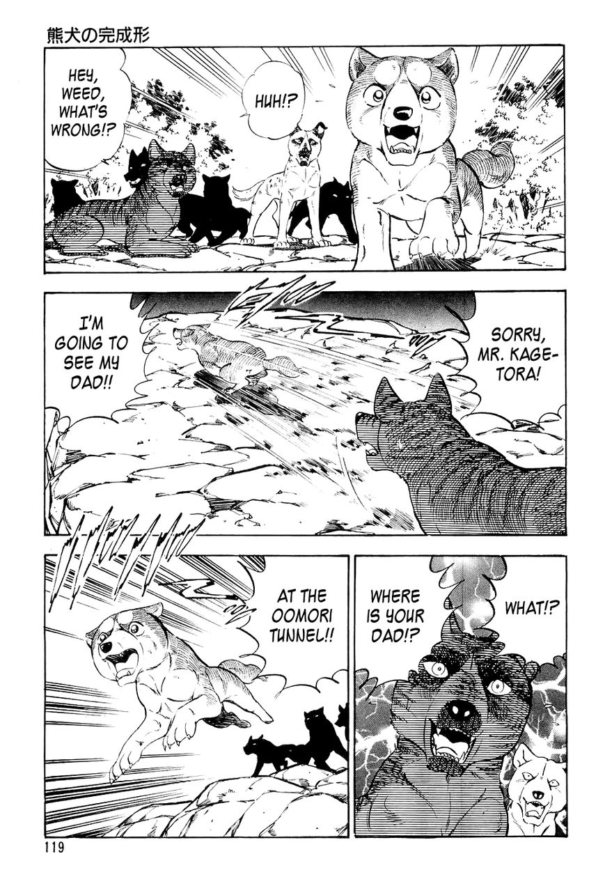 Ginga Densetsu Weed Chapter 16 page 16 - Chapter 16 : A Beardog's Perfect Form
