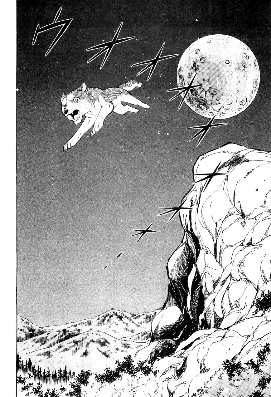 Ginga Densetsu Weed Chapter 16 page 17 - Chapter 16 : A Beardog's Perfect Form
