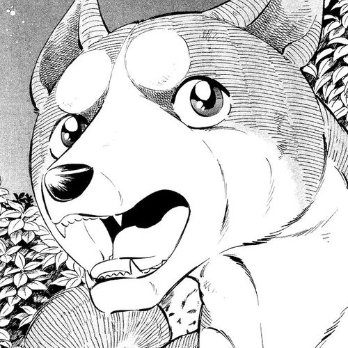 Ginga Densetsu Weed Chapter 16 : A Beardog's Perfect Form cover