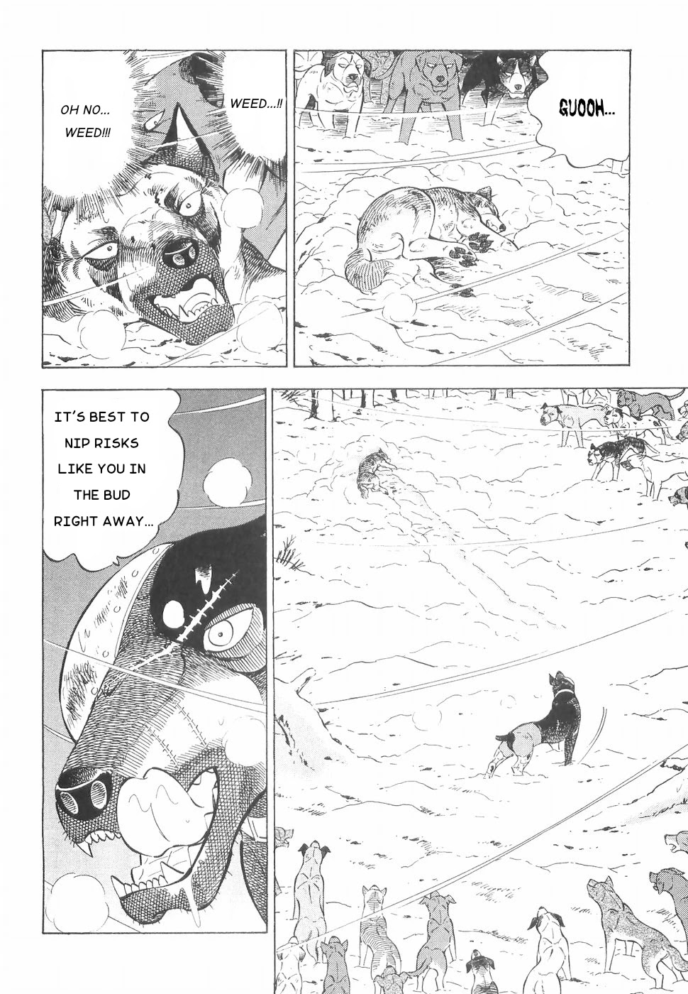 Ginga Densetsu Weed Chapter 164 page 20 - Chapter 164: Suicidal Challenge