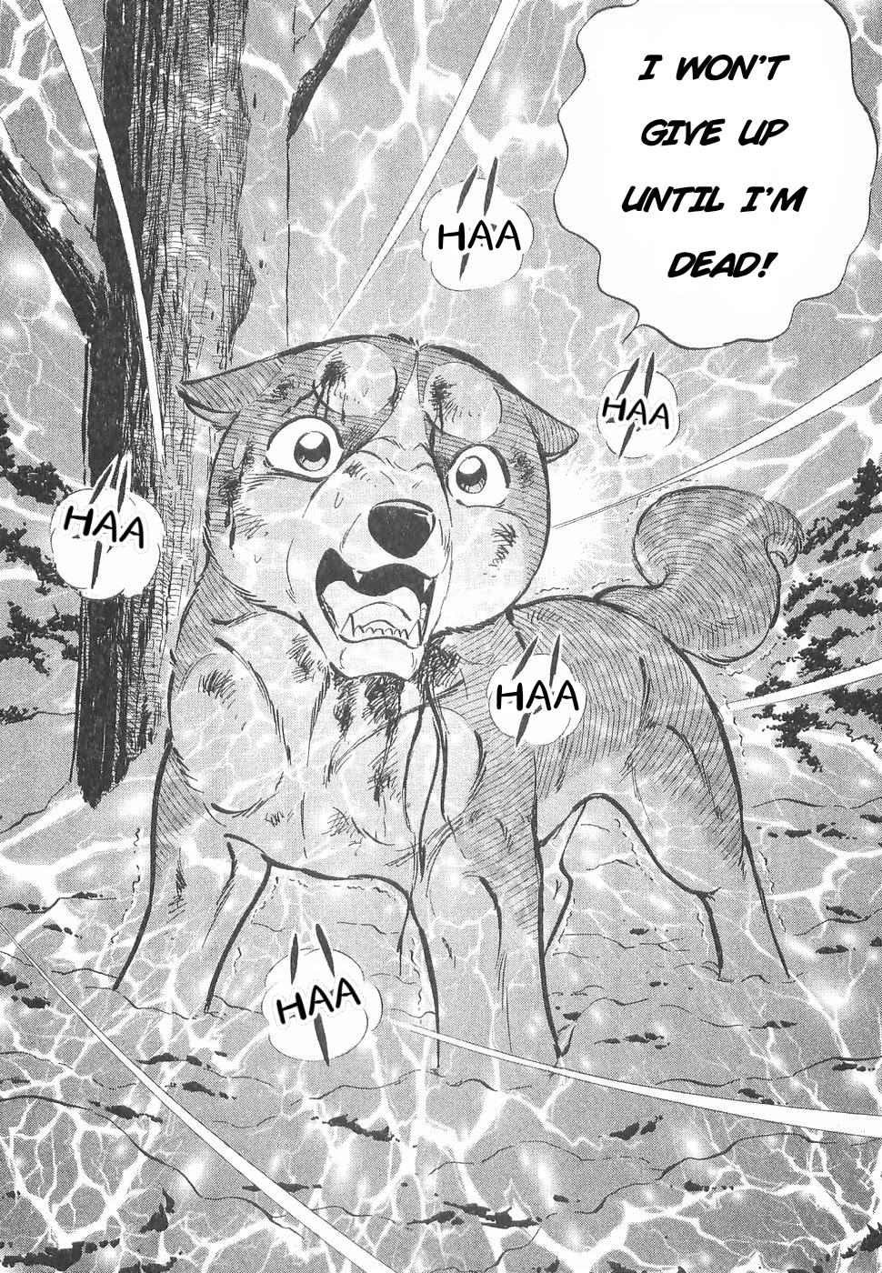 Ginga Densetsu Weed Chapter 164 page 22 - Chapter 164: Suicidal Challenge