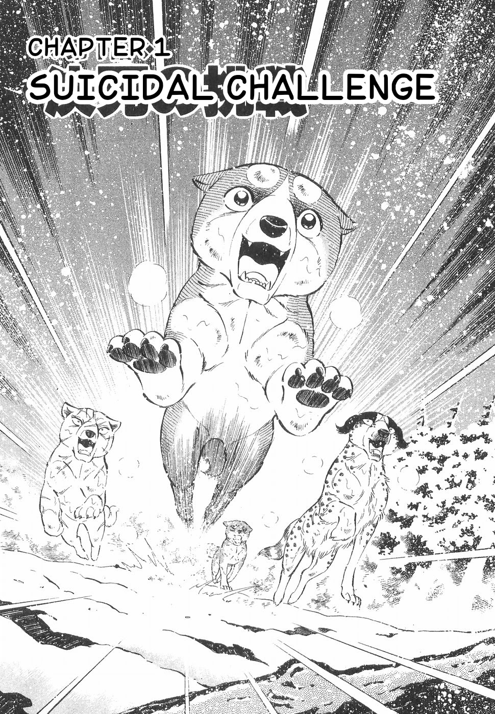 Ginga Densetsu Weed Chapter 164 page 5 - Chapter 164: Suicidal Challenge