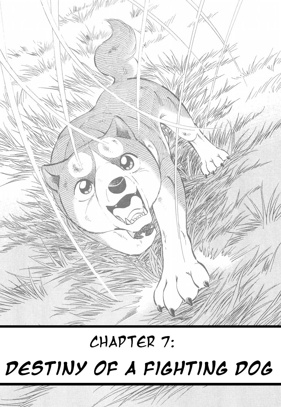 Ginga Densetsu Weed Chapter 186 page 1 - Chapter 186: Destiny of a Fighting Dog