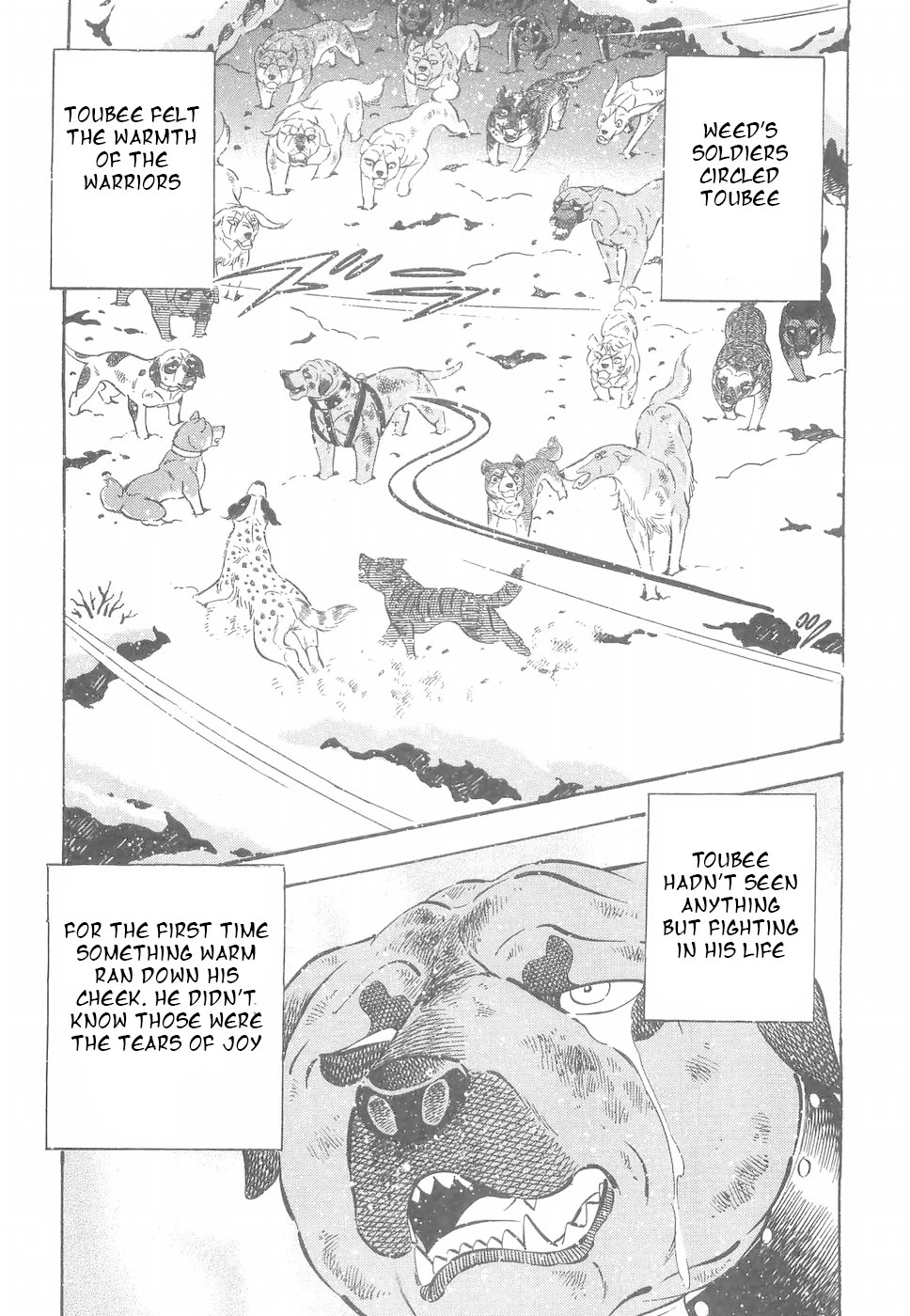 Ginga Densetsu Weed Chapter 186 page 19 - Chapter 186: Destiny of a Fighting Dog