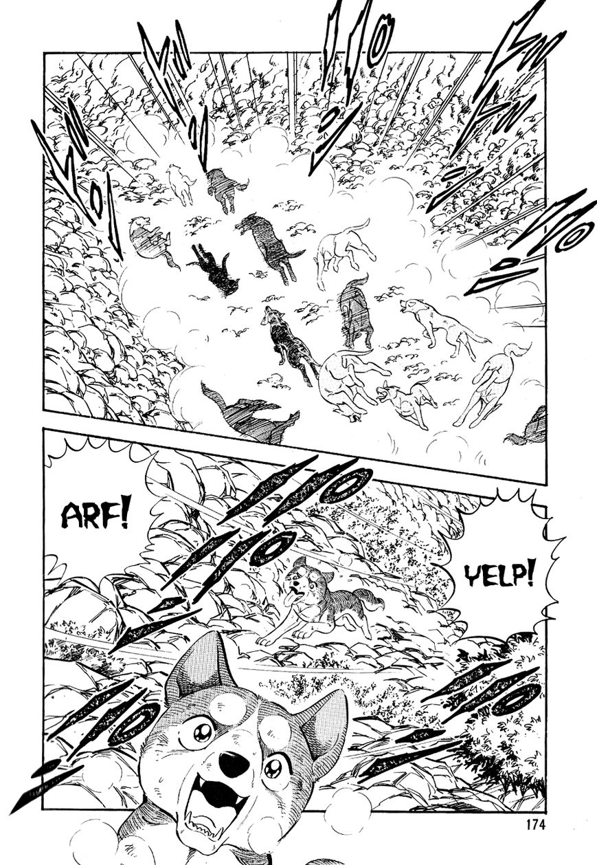 Ginga Densetsu Weed Chapter 19 page 11 - Chapter 19 : Heartless Judgement