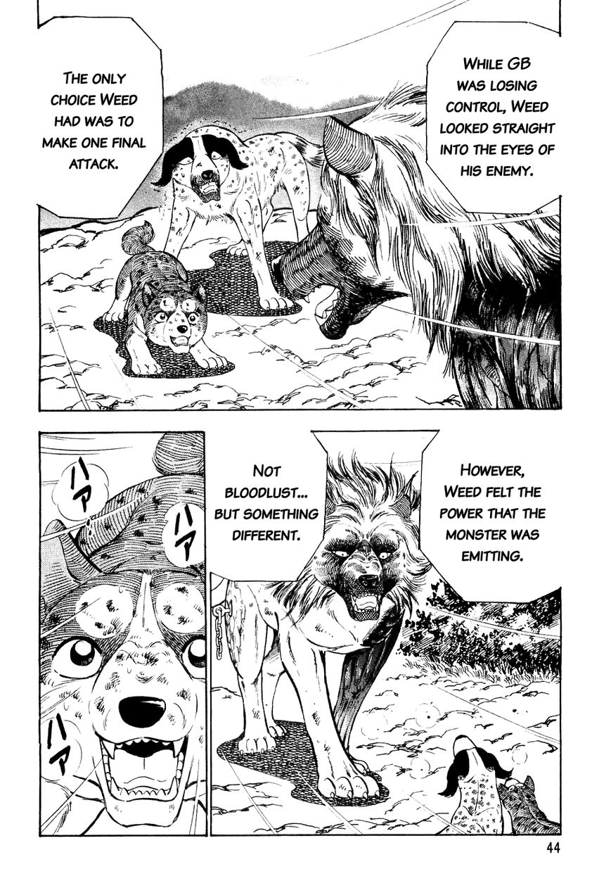 Ginga Densetsu Weed Chapter 22 page 21 - Chapter 22 : Awakened Blood