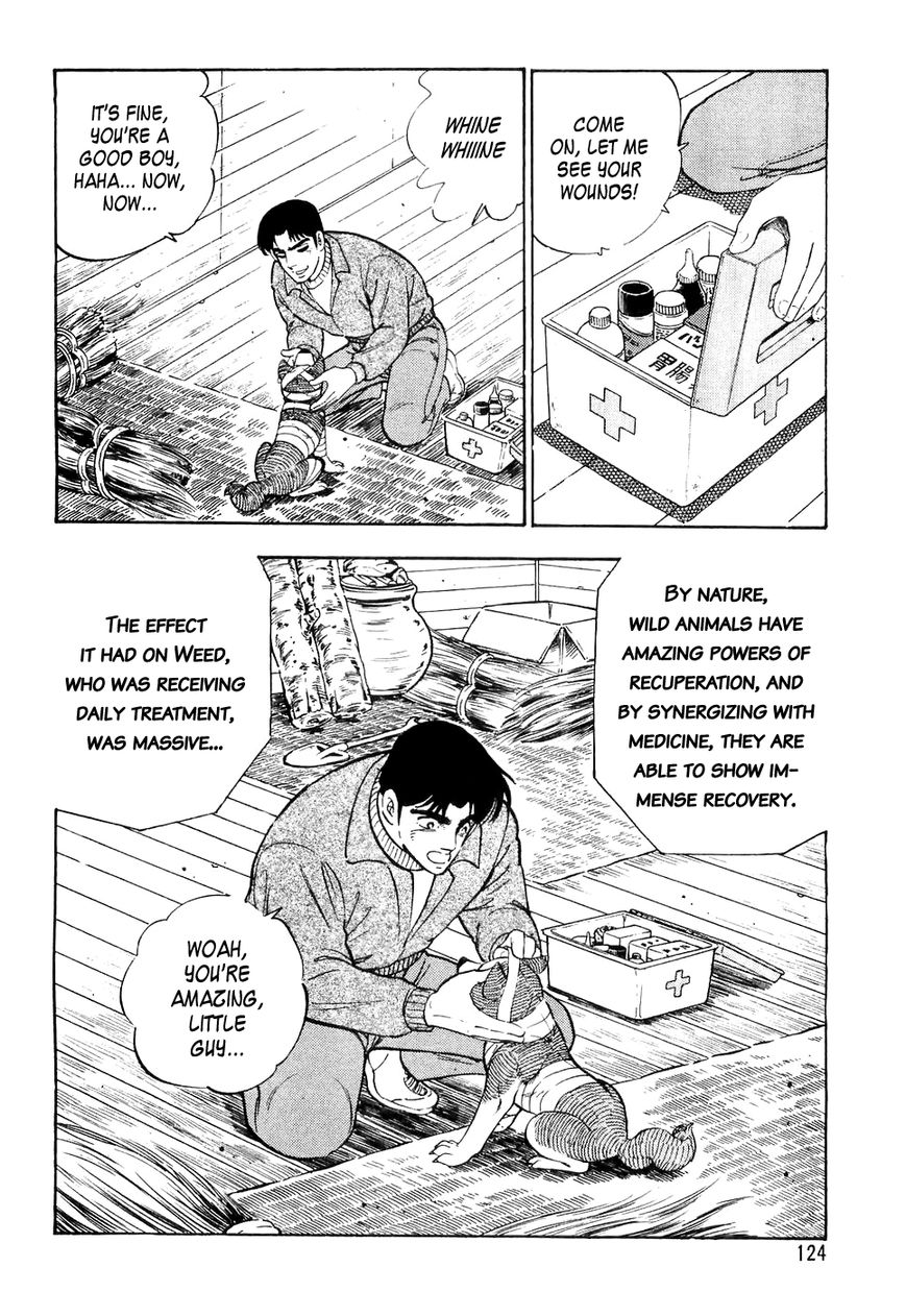 Ginga Densetsu Weed Chapter 26 page 13 - Chapter 26 : Arrow of Justice