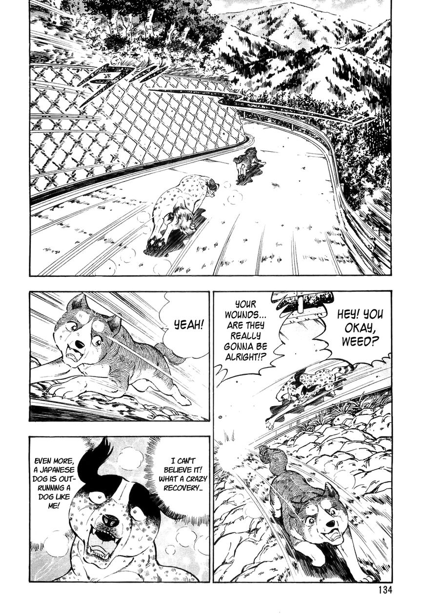 Ginga Densetsu Weed Chapter 27 page 3 - Chapter 27 : Professional Assassins