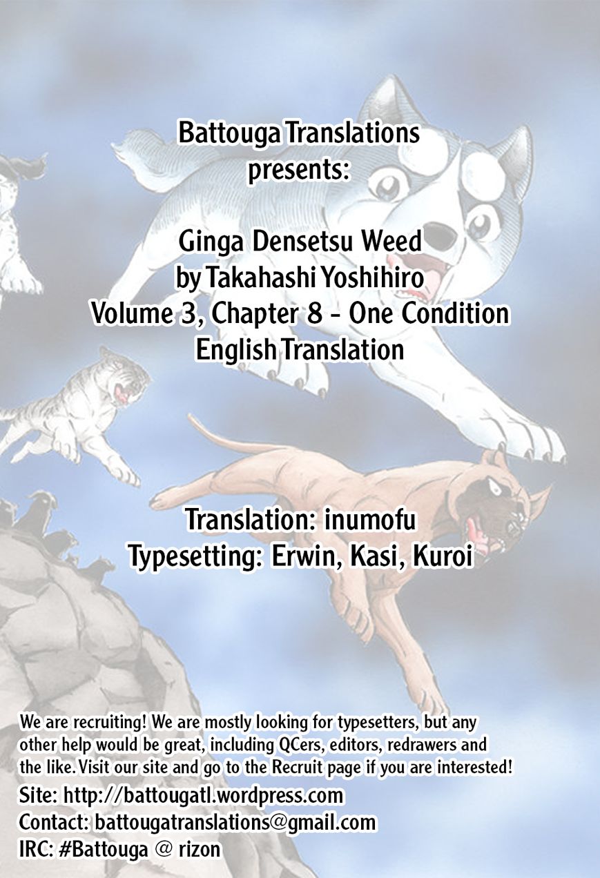 Ginga Densetsu Weed Chapter 28 page 1 - Chapter 28 : One Condition