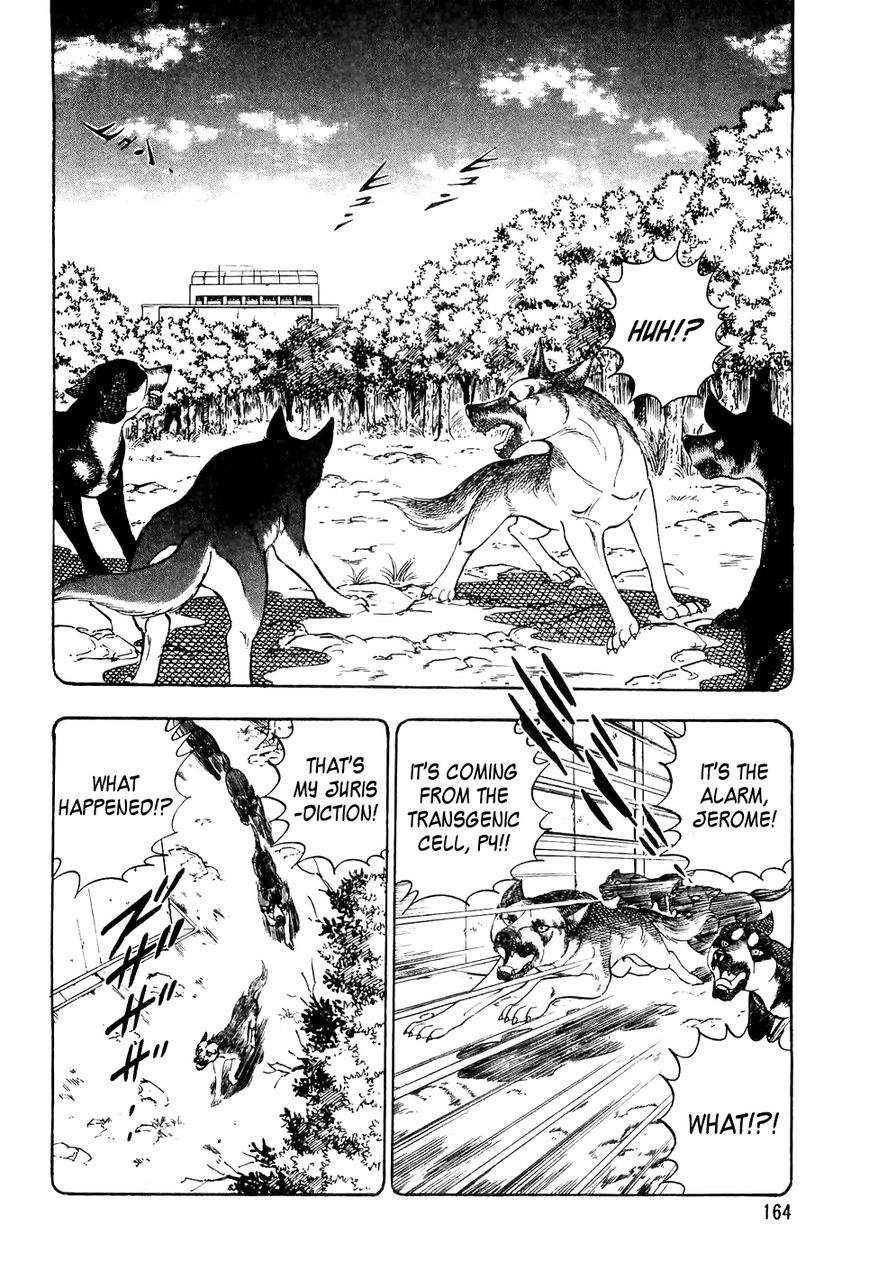 Ginga Densetsu Weed Chapter 28 page 13 - Chapter 28 : One Condition