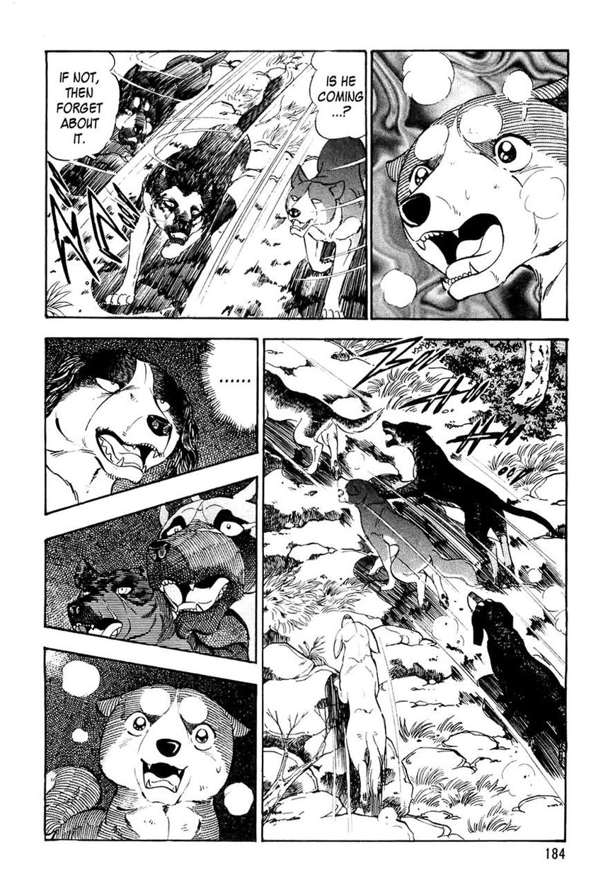 Ginga Densetsu Weed Chapter 29 page 11 - Chapter 29 : A Beardog's Howl