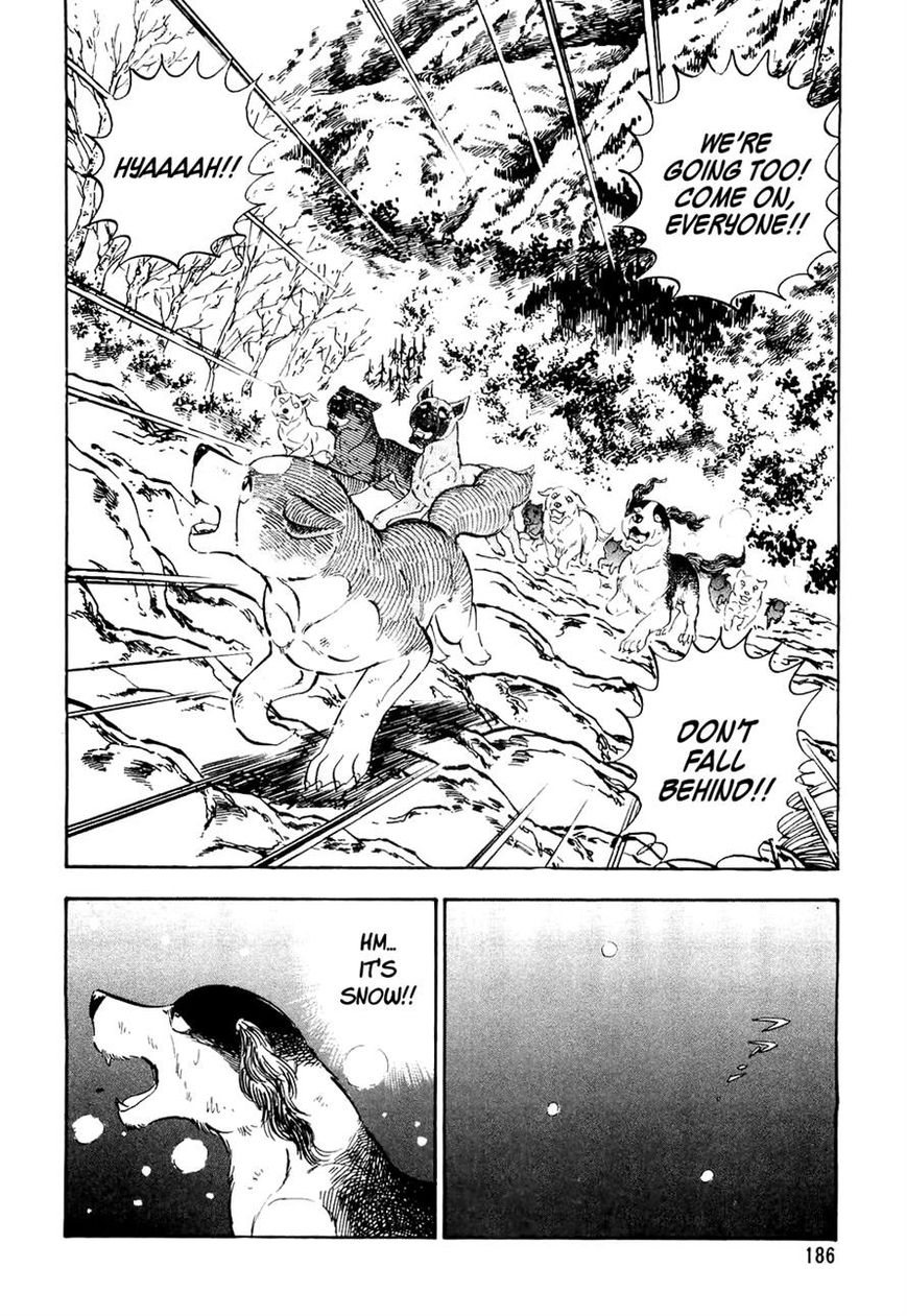 Ginga Densetsu Weed Chapter 29 page 13 - Chapter 29 : A Beardog's Howl