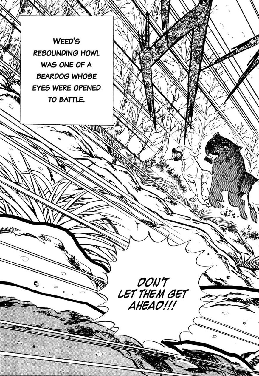 Ginga Densetsu Weed Chapter 29 page 16 - Chapter 29 : A Beardog's Howl