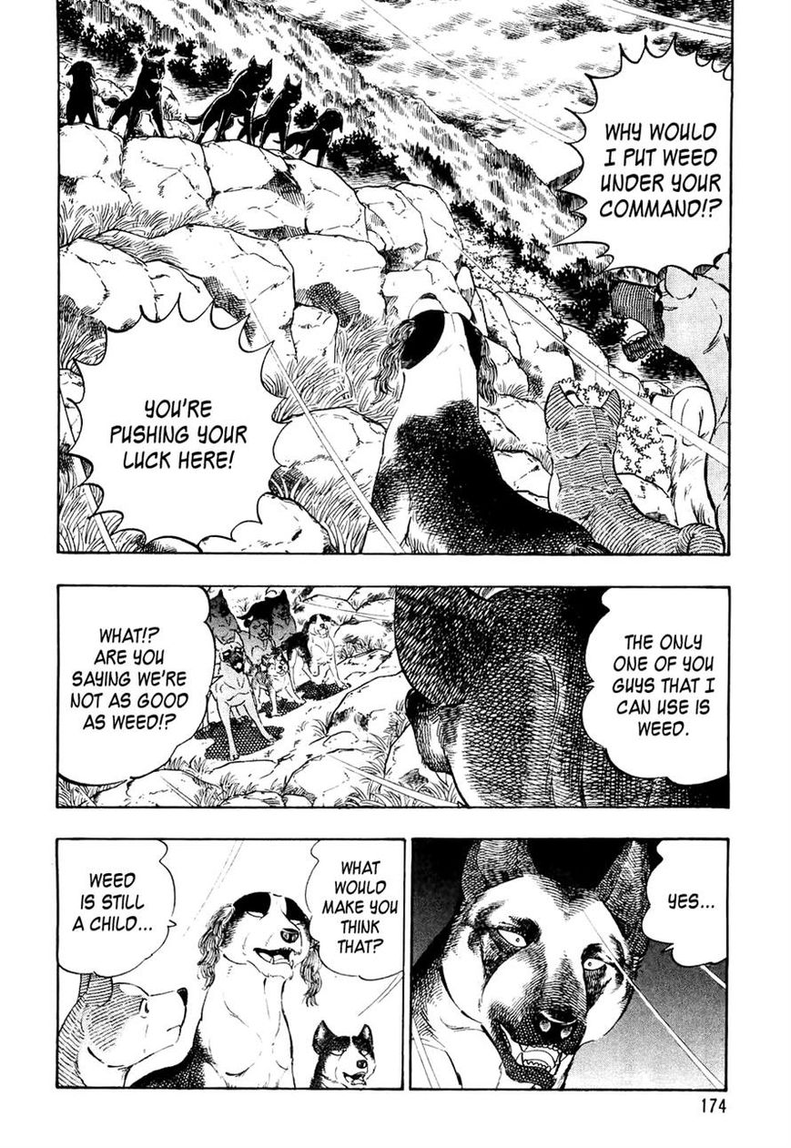 Ginga Densetsu Weed Chapter 29 page 2 - Chapter 29 : A Beardog's Howl