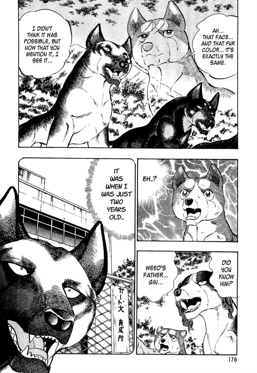 Ginga Densetsu Weed Chapter 29 page 3 - Chapter 29 : A Beardog's Howl