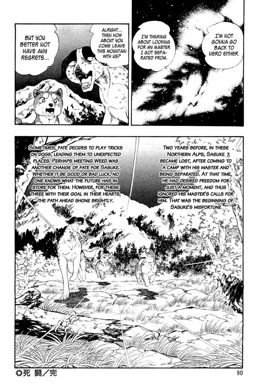 Ginga Densetsu Weed Chapter 3 page 21 - Chapter 3 : Life or Death Struggle