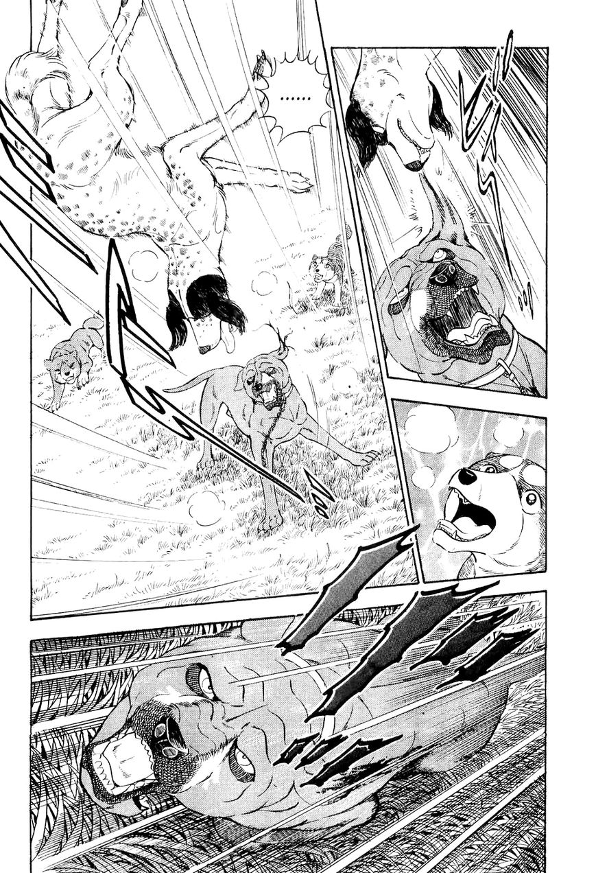 Ginga Densetsu Weed Chapter 3 page 5 - Chapter 3 : Life or Death Struggle