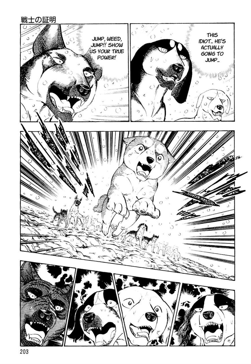 Ginga Densetsu Weed Chapter 30 page 11 - Chapter 30 : Proof of a Warrior