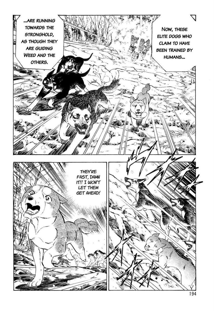 Ginga Densetsu Weed Chapter 30 page 2 - Chapter 30 : Proof of a Warrior